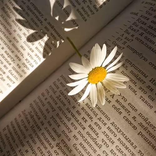 rezvani.lens-Collect-119