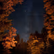 eth0x.lens-Collect-96