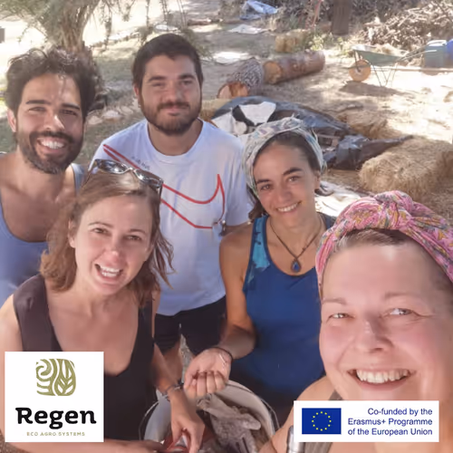 diogor.lens-Collect-792