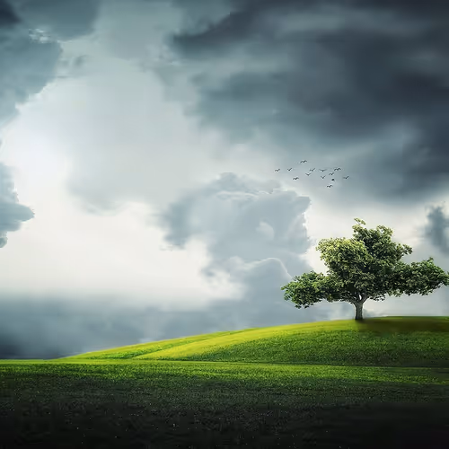 Santos Nature