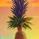 maximeorand.lens-Collect-119