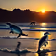 Sunrise Sea