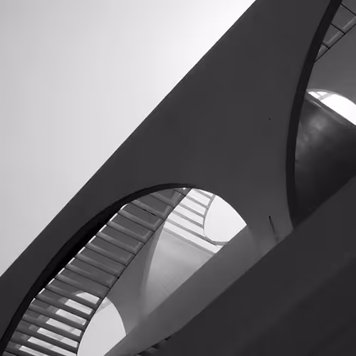 w_t_f.lens-Collect-862