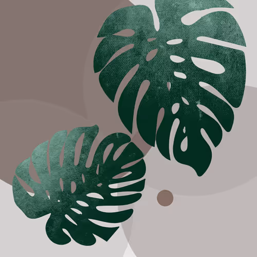 omniweb.lens-Collect-314