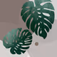 omniweb.lens-Collect-314