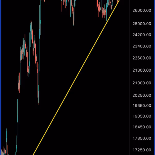 zahrapanahi.lens-Collect-417