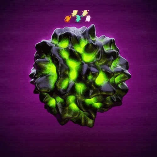 Free Mint on Polygon.