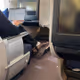 Huilingcollection