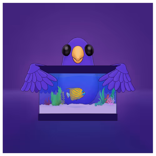 pooly.lens-Collect-234