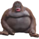 BuGI