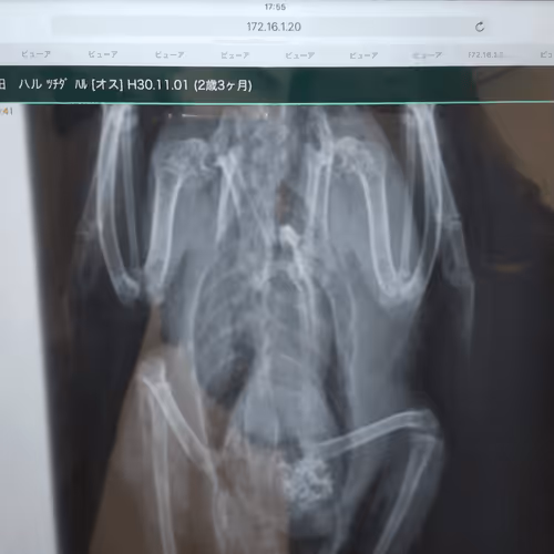 0x74a5564c35981a85f6b6868e05b002867927e31d