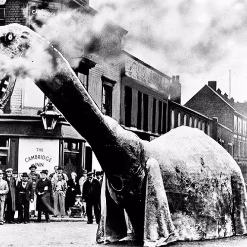 fanatic.lens-Collect-912