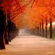 beautiful scence