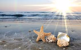 69689.lens-Collect-813