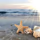 69689.lens-Collect-813