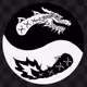 martial art coin