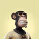 MonkeyKing