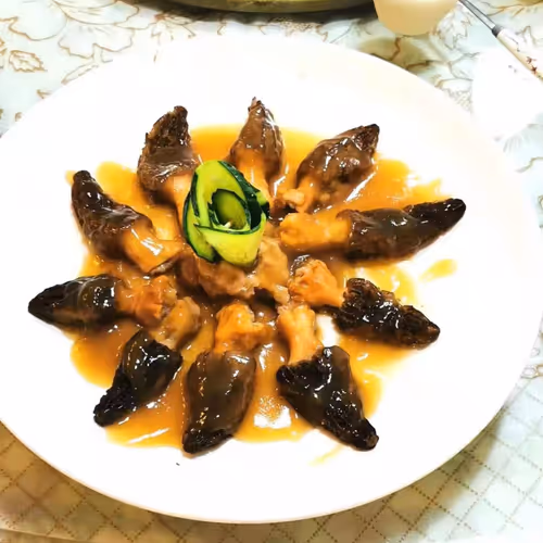 akxakxll.lens-Collect-215