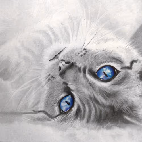 Cat collection