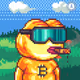 Btc pepe