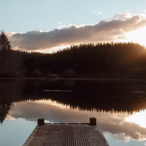 Bombermine collection