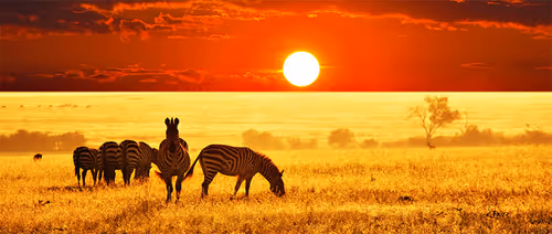 Item #80879840001451919384001045261058892020911433267621717443310830747649 Media