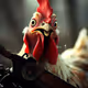 crazygamer16.lens-Collect-1203