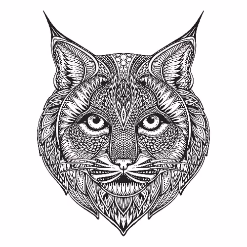 Bobcat
