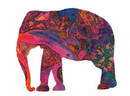 stooges.lens-Collect-22