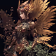 Machine Angel 2nd/TYPE_Copper_Plant