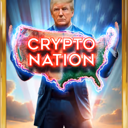Trump Digital Trading Cards America First Edition #14944