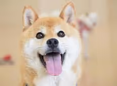 run