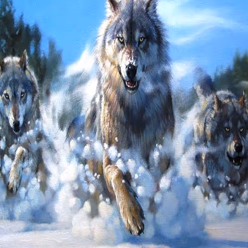 Wolf