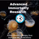 Advanced Immortality Research