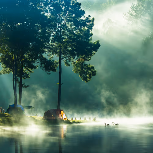 oooo3.lens-Collect-1074