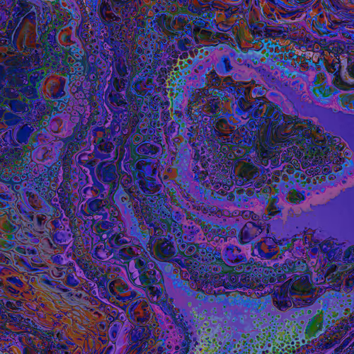 zospours.lens-Collect-2661