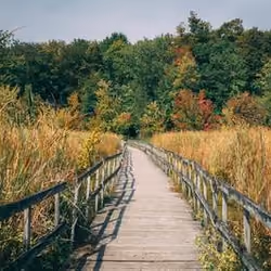 walk