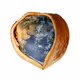 NutGeo
