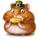 HAMSTER