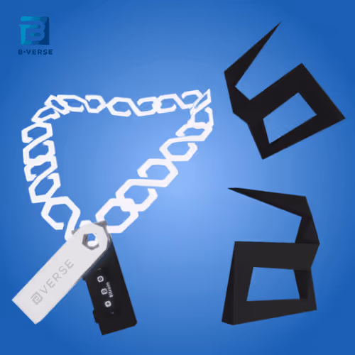 BVERSE Wallet-X
