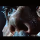 The Spider's Whisper Music Video