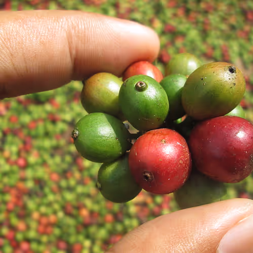 0x806561633b3dac19a72672db61f9c3c18671768a