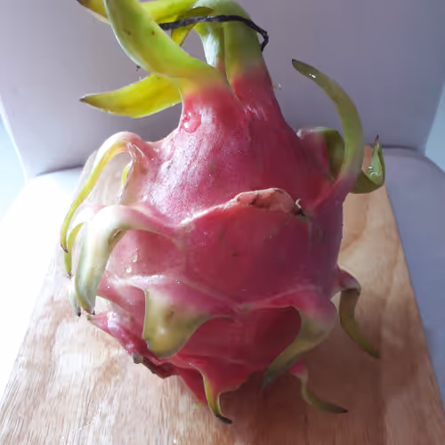 Beautiful Dragon fruit