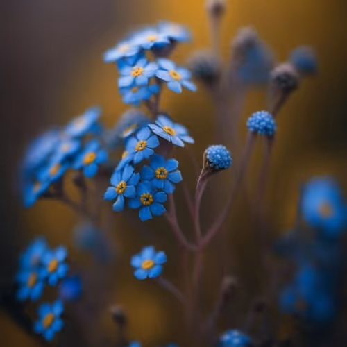 mojiniho.lens-Collect-1254