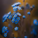 mojiniho.lens-Collect-1254