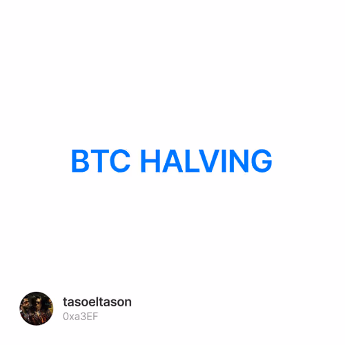 BTC HALVING 1