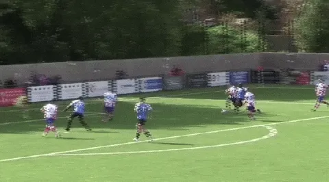 3757342.lens-Collect-272