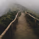 ruoshui.lens-Collect-146