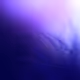 Test - IWY7rNM5t6