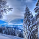 The winter